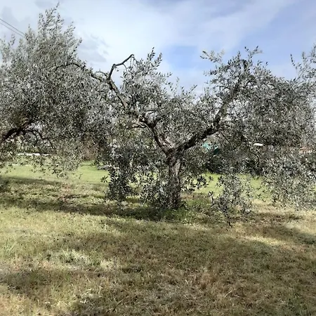 La Cascina Di Fox