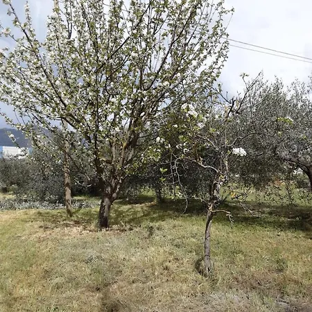 Nyaraló La Cascina Di Fox *