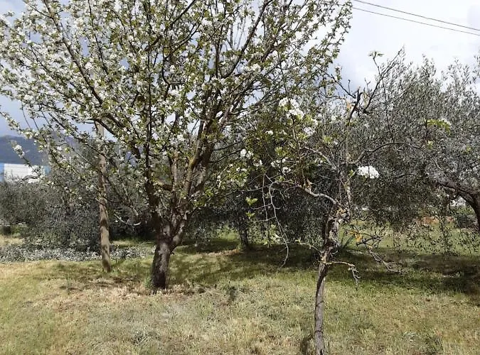 Vakantiehuis La Cascina Di Fox *